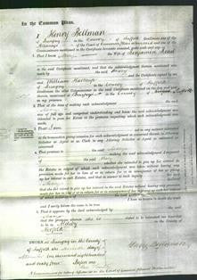 Court of Common Pleas - Mary Read-Original Ancestry