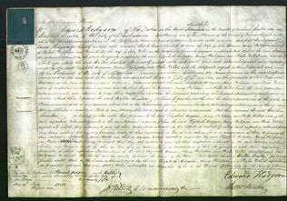 Court of Common Pleas - Elizabeth Hodgson, Mary Philipson and Phebe Kellett-Original Ancestry