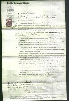 Court of Common Pleas - Hester Emmeline Manley-Original Ancestry