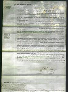 Court of Common Pleas - Phebe Marfell-Original Ancestry