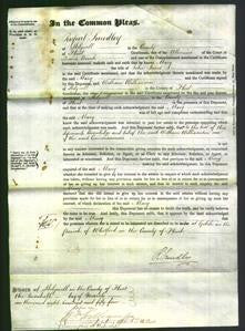 Court of Common Pleas - Mary Jones-Original Ancestry