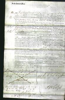 Court of Common Pleas - Christiana Haden-Original Ancestry