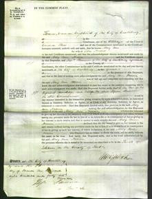 Court of Common Pleas - Mary Ann Neame-Original Ancestry