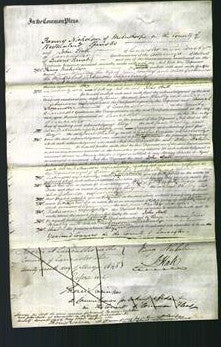 Court of Common Pleas - Jane Whalley and Alice Dickinson-Original Ancestry