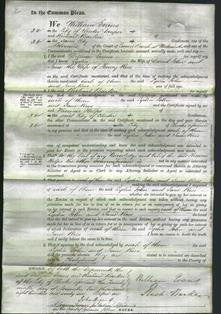 Court of Common Pleas - Lydia John and Jane Rees-Original Ancestry