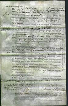 Court of Common Pleas - Ann Garbutt-Original Ancestry