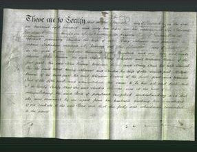 Deed by Married Women - Amelia Johnson-Original Ancestry