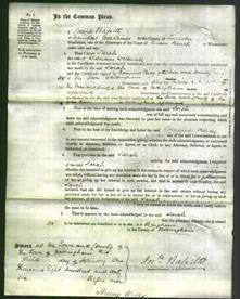 Court of Common Pleas - Sarah Widnall-Original Ancestry