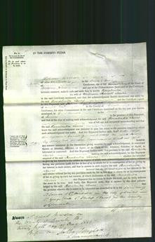 Court of Common Pleas - Rosalinia Lewis-Original Ancestry