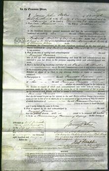 Court of Common Pleas - Frances Cremer-Original Ancestry