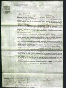 Court of Common Pleas - Sarah Billing-Original Ancestry