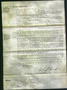Court of Common Pleas - Julia Hamer-Original Ancestry