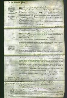 Court of Common Pleas - Sarah Bostock-Original Ancestry