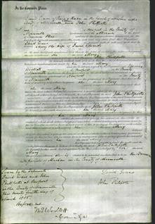 Court of Common Pleas - Mary Edwards-Original Ancestry