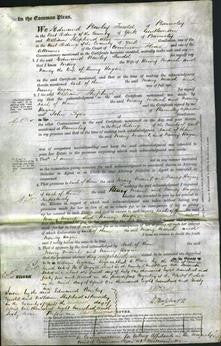 Court of Common Pleas - Mary Marsh and Nancy Hague-Original Ancestry