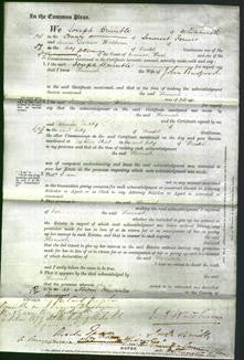 Court of Common Pleas - Hannah Burford-Original Ancestry