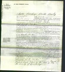 Court of Common Pleas - Sarah Parker-Original Ancestry