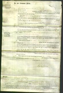 Court of Common Pleas - Harriette Ann Storer and Frances Clara Cooke-Original Ancestry