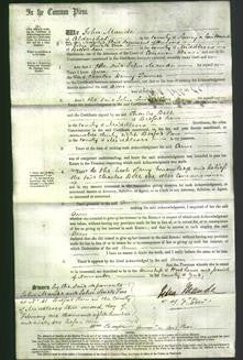 Court of Common Pleas - Ann Nicholson Turner-Original Ancestry