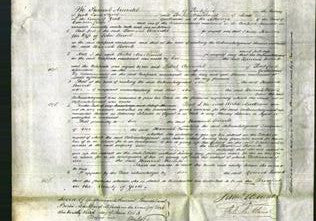 Court of Common Pleas - Hannah Bower-Original Ancestry