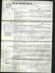 Court of Common Pleas - Jane Savage and Kitty Goodacre-Original Ancestry