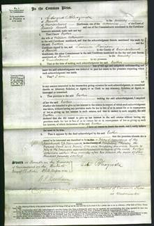 Court of Common Pleas - Esther Atkinson-Original Ancestry