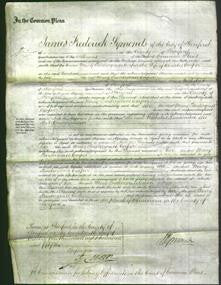 Court of Common Pleas - Mary Pendergrass Cooper-Original Ancestry