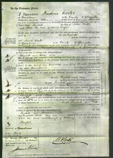 Court of Common Pleas - Elizabeth Carter and Rosa Teaque-Original Ancestry