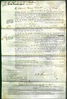 Court of Common Pleas - Elizabeth Annie Tudor Furlong-Original Ancestry