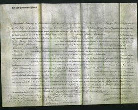 Court of Common Pleas - Elizabeth Johnston Nicholson-Original Ancestry