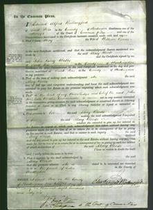 Court of Common Pleas - Mary Woods-Original Ancestry