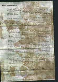 Court of Common Pleas - Mary Farquharson-Original Ancestry