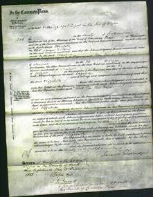 Court of Common Pleas - Elizabeth Noyce-Original Ancestry