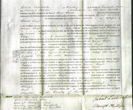 Court of Common Pleas - Maria Leigh-Original Ancestry