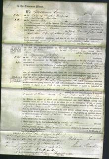 Court of Common Pleas - Lydia John and Jane Rees-Original Ancestry
