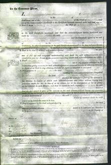 Court of Common Pleas - Fanny Maria Porter and Margaret Fawn-Original Ancestry