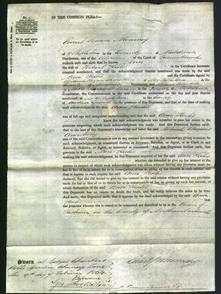 Court of Common Pleas - Ann Heelis-Original Ancestry