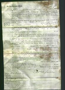 Court of Common Pleas - Catharine Elizabeth Townley-Original Ancestry