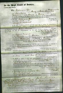 Court of Common Pleas - Iset Powlesland-Original Ancestry