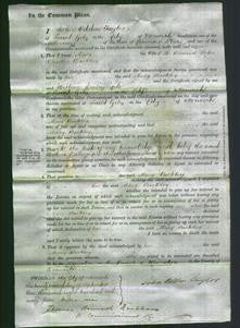 Court of Common Pleas - Mary Barkley-Original Ancestry