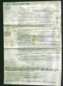 Court of Common Pleas - Joyce Drummond-Original Ancestry