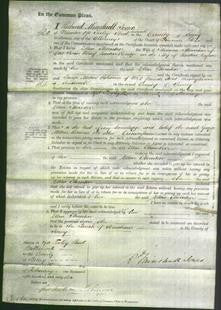 Court of Common Pleas - Ellen Thornton-Original Ancestry