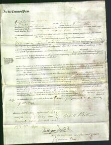 Court of Common Pleas - Anne Basset-Original Ancestry