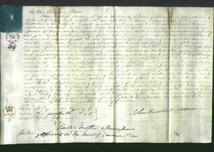 Court of Common Pleas - Susan Chatterton-Original Ancestry