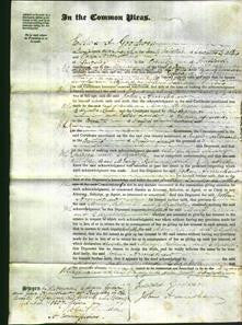 Court of Common Pleas - Mary Sambrook, Rebecca Lawrence and Elizabeth Durber-Original Ancestry