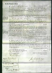 Court of Common Pleas - Elizabeth Goldsmith-Original Ancestry