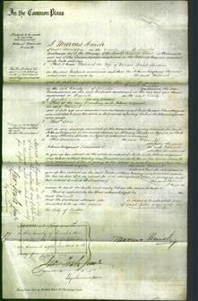 Court of Common Pleas - Milicent Jourdain