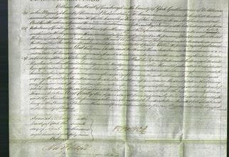 Court of Common Pleas - Eliza Fawcett-Original Ancestry