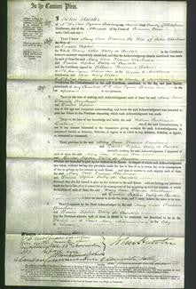 Court of Common Pleas - Mary Jane Frances Blackmore and Emilia Sophia De Candole-Original Ancestry