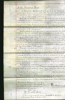 Court of Common Pleas - Catherine James Cox-Original Ancestry